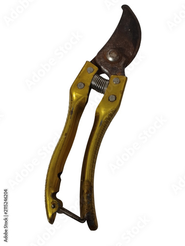 Old yellow garden pruning shears for trimming plants
