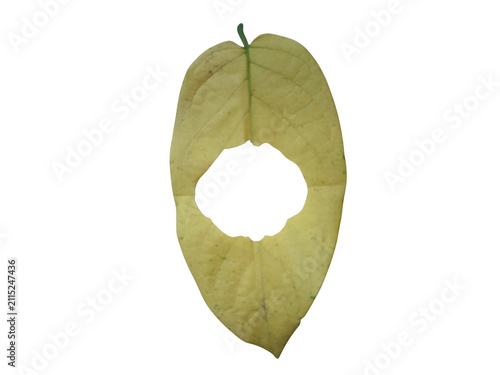Yellow autumn leaf with a round hole in the center
