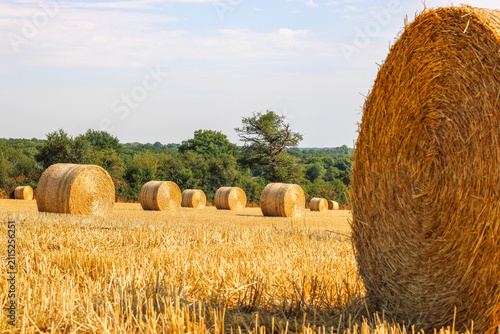 Hay stacks stacked in a large pile, hay harvesting for winter
