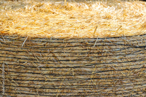 Yellow dry hay roll close up photo