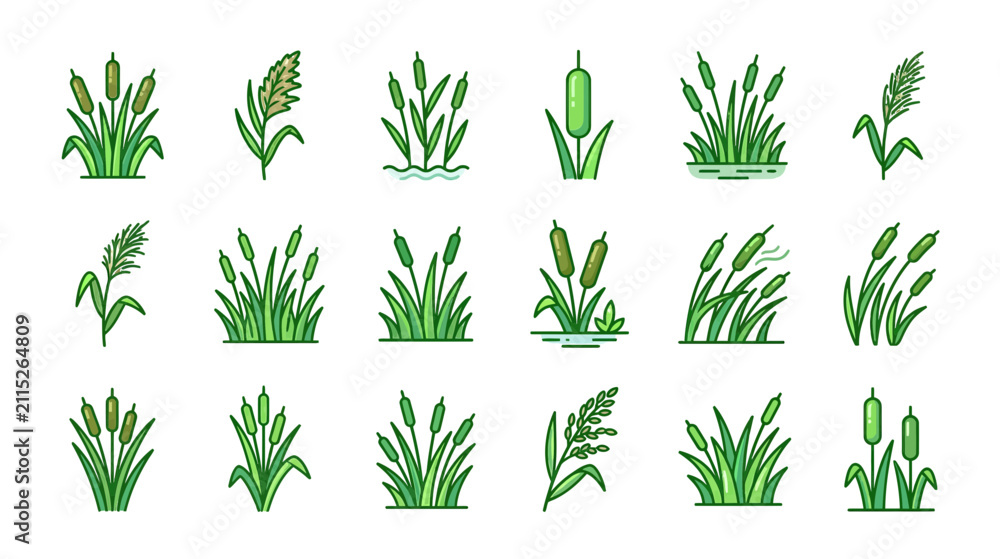 Fototapeta premium Cattail Plants Collection Vector Illustration