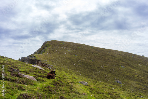 St Kilda, a remote volcanic archipelago in Scotland, world heritage site