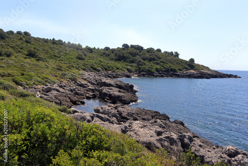 Foto Scenic view of the rocky coast and Mediterranean vegetation along the Porto Cofa