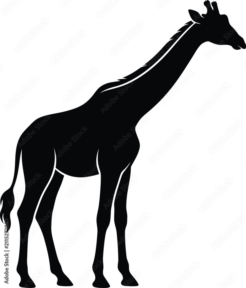 Fototapeta premium Giraffe, Silhouette, Black, Wild, Icon