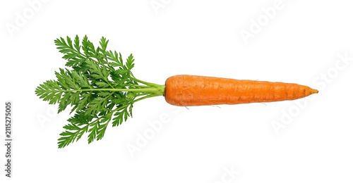 Konstfotografi Fresh carrot png Organic carrot cutout Orange carrot png Leafy carrot cutout Raw