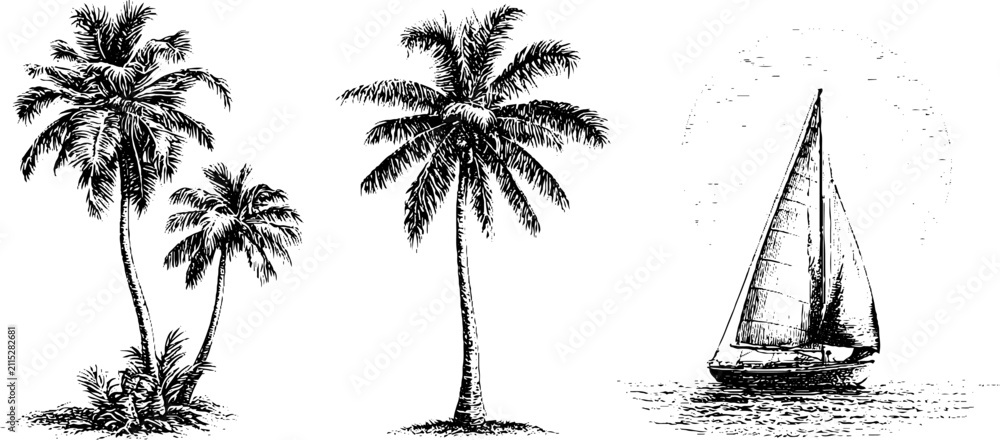 Obraz premium Detailed ink palm trio and single mast sailboat sketch with textured sea and horizon for summer coastal background and maritime poster design