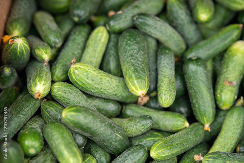 Fresh cucumbers gathered in a market during the summer season