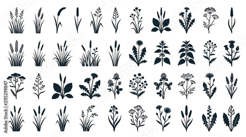 Botanical Silhouettes Collection of Wild Plants and Herbs