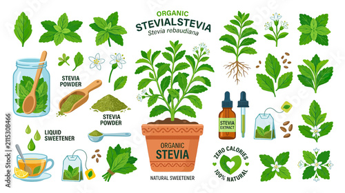 Foto Stevia Plant and Products Collection