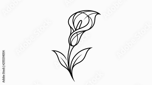 Elegant single line drawing of a calla lily flower