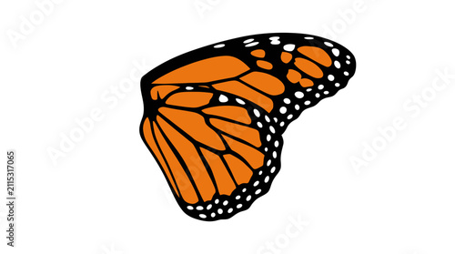 Orange butterfly wing pattern on white background