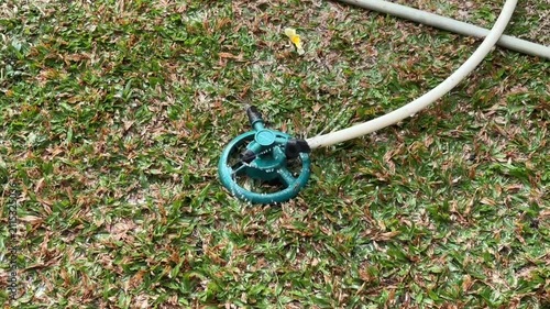 Rotary garden sprinkler actively watering a dry lawn with water hose attached