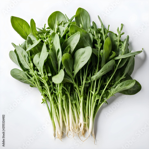 Fresh green arugula leaves ...