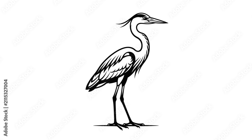 Obraz premium Elegant heron bird standing still on white background