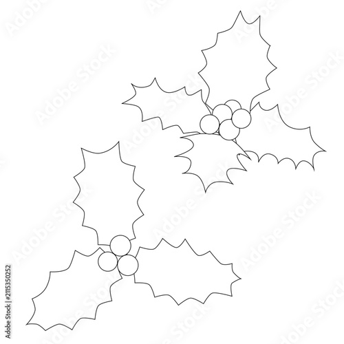 Holly Leaves with Berries Line Art Vector Set