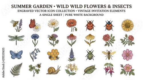Vintage Floral and Insect Engraving Icons on White