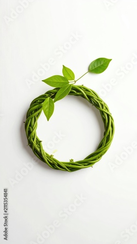Green vine twisted into a circle, with delicate leaves at the top