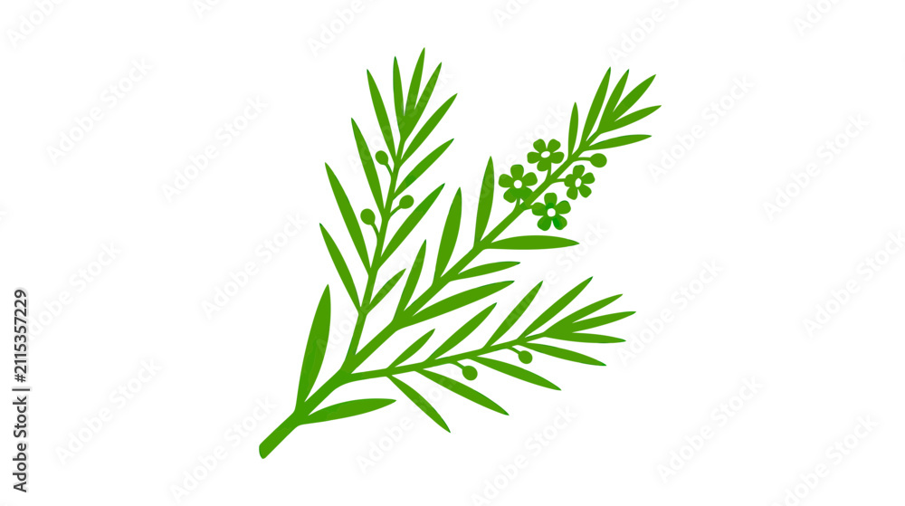 Fototapeta premium Green Branch with Small Flowers and Berries