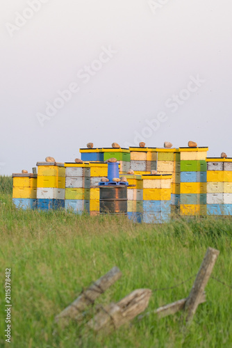 Colorful Honey Bee Hives Stacked in a Grassy Field.