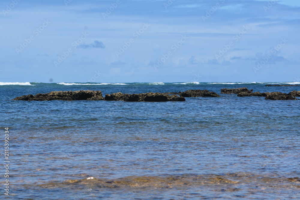 Naklejka premium praia do forte - bahia