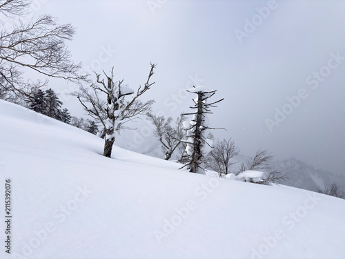 Foto Hokkaido mountain slopes covered in untouched snow