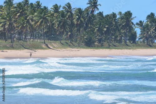 Fotografía praia do forte - bahia