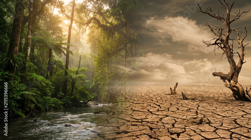Composite image showing a green tropical forest with a river on the left and a parched cracked earth desert on the right.