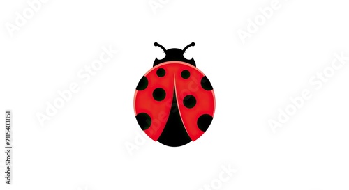 Vibrant red ladybug illustration isolated on white background for design