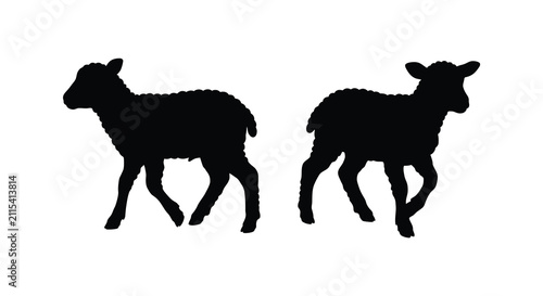 Foto Two lambs standing in profile depicted as a black silhouette against a white bac