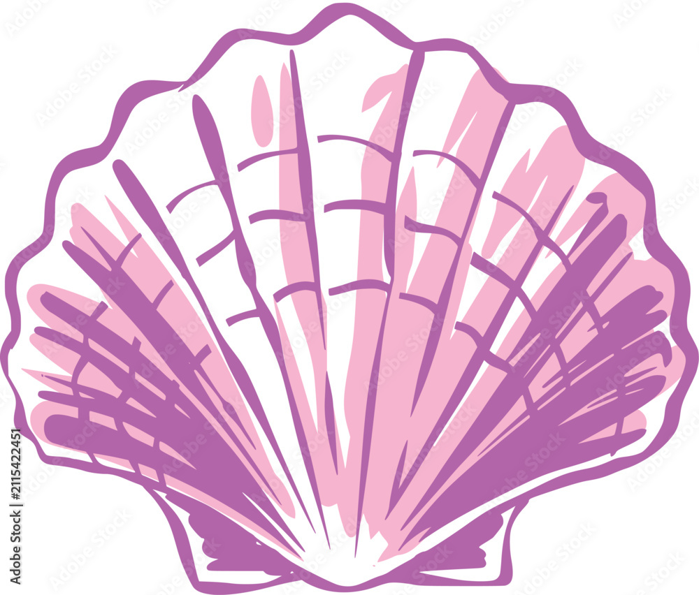 Obraz premium Stylized pink scallop seashell with fan ridges, purple line art, soft highlights, and clean vector style, isolated on white for beach, ocean, and summer themes