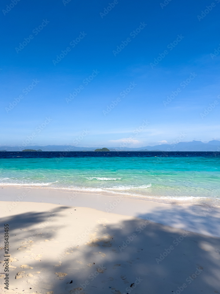 Fototapeta premium Tropical Beach With Turquoise Water