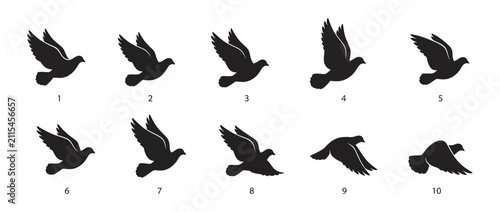 Fotografía Bird Flight Sequence Silhouette Animation Frames