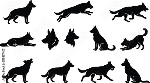 Obraz na płótnie Set of black silhouettes of german shepherd dogs in various poses and actions