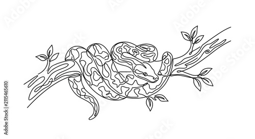 Bild auf Leinwand Black and white line art drawing of a python coiled on a tree branch