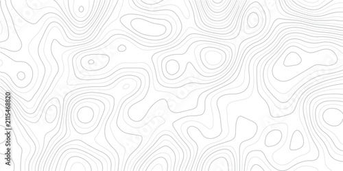 Abstract topographic map lines design for creative projects and presentations