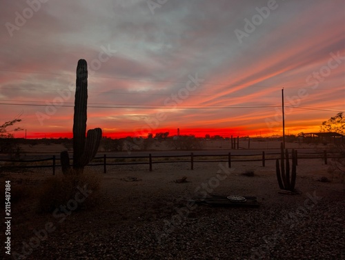 sunset in the desert