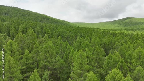 테를지, 국립공원, 몽골, 대자연, 숲, 풍경, 산, 나무, Terelj, Mongolia, Great Outdoors, Forest, Landscape, Mountains
