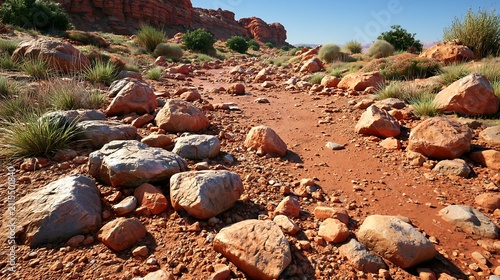 Rocky arid desert path with sparse vegetation under bright daylight sunshine and clear sky