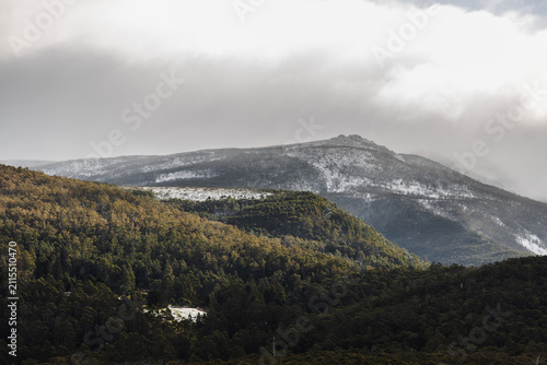 snow covered tasmanian mountains surrounded by native australian vegetation