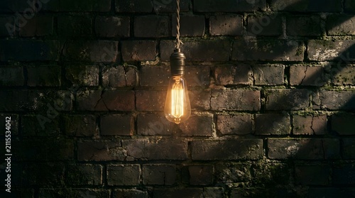 Vintage Edison-style filament light bulb hanging against dark brick wall
