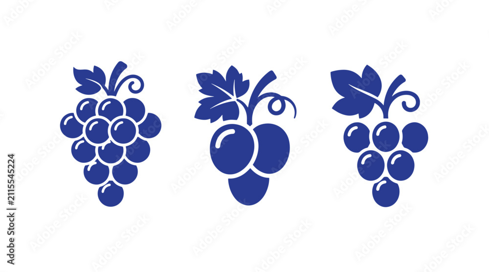 Obraz premium Collection of three blue grape vine cluster icons on white background with vineyard illustration agriculture botanical minimalist viticulture vitamins