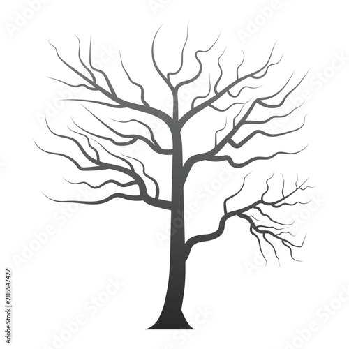 Minimalist-Bare-Tree-Silhouette-Vector-Illustration-With-Abstract-Leafless-Branches-Isolated-On-White-Background-For-Nature-And-Seasonal-Design
