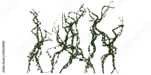 Realistic 3D Ivy Vine Creeper Plant with Twisted Green Branches — Natural Botanical Game Asset Illustration on Transparent Background