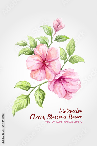 Watercolor Cherry Blossom Flower Illustration With Pink Blooms And Green Leaves good for Spring Design, wedding invitations, greeting cards, botanical print.