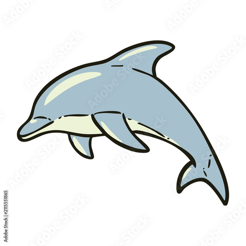 Fotografía Dolphin Sea Animal Illustration