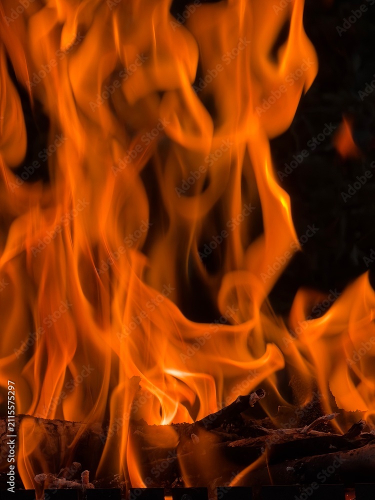 Fototapeta premium fire in the fireplace