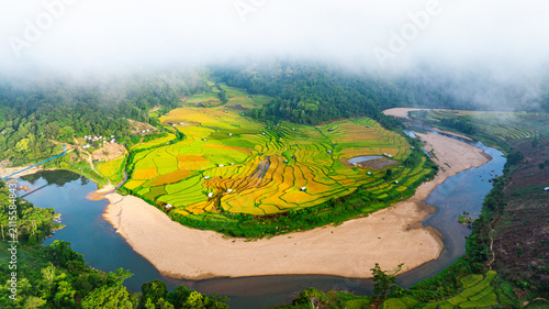 Fotografie Ripe rice season in Mang Den, Vietnam