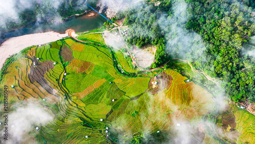 Ripe rice season in Mang Den, Vietnam 