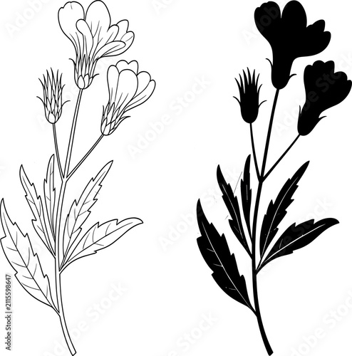 Wildflower line art drawing and silhouette icon set