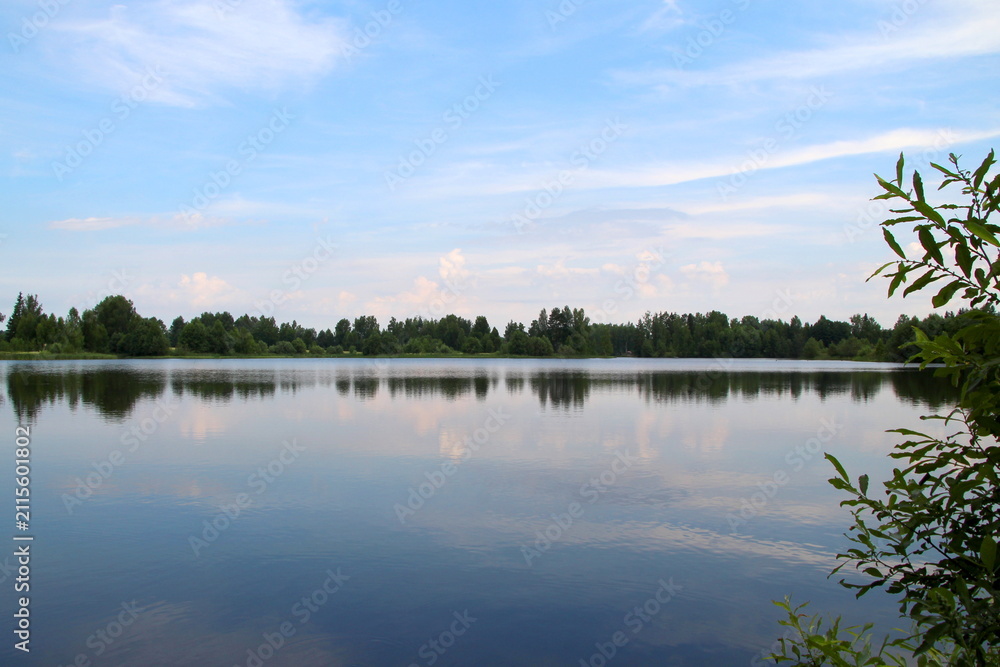 Obraz premium Beautiful summer landscape with a lake with clear water and trees growing nearby.